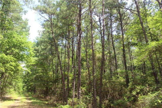 0 Rolling Hills Rd, Navasota, TX 77363