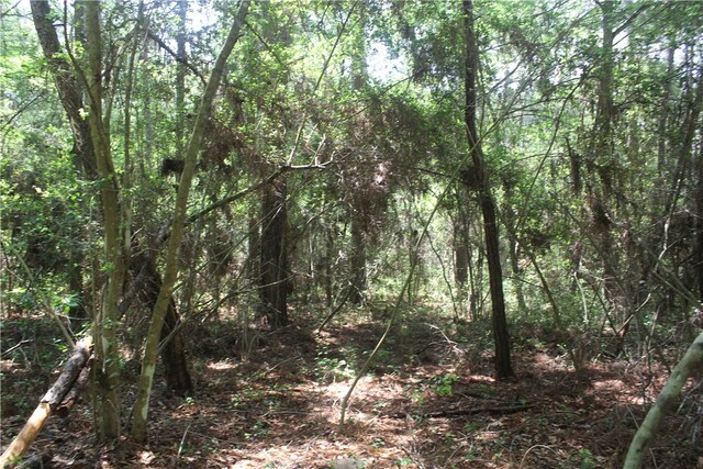 0 Rolling Hills Rd, Navasota, TX 77363