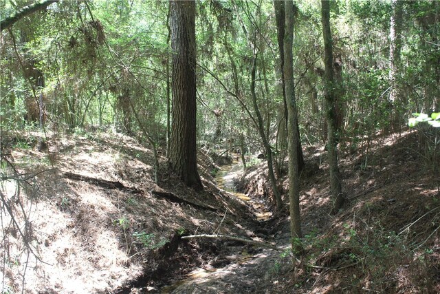 0 Rolling Hills Rd, Navasota, TX 77363