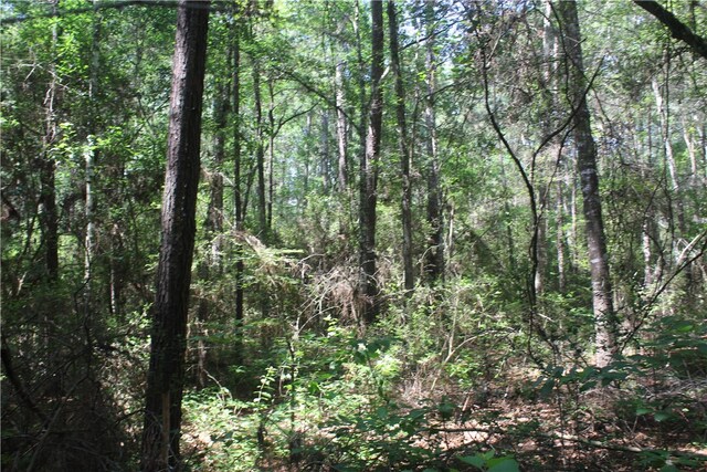 0 Rolling Hills Rd, Navasota, TX 77363