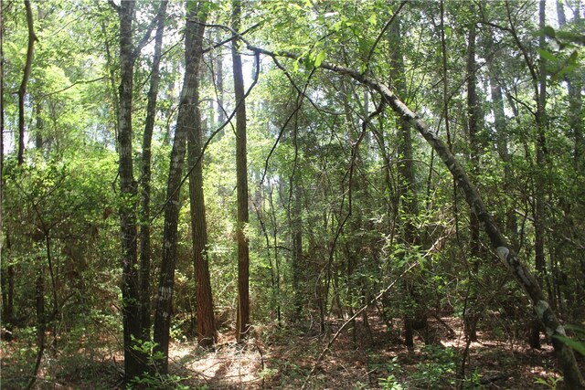 0 Rolling Hills Rd, Navasota, TX 77363