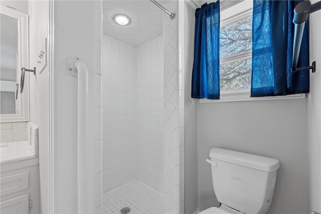 bathroom with a shower stall, toilet, and vanity
