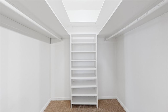 walk in closet with carpet flooring