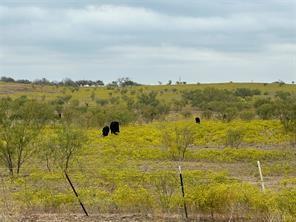 TBD Fm 2164, Sanger, TX 76266