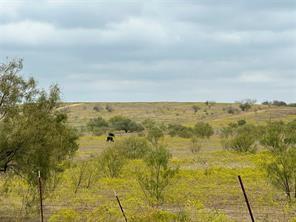 TBD Fm 2164, Sanger, TX 76266