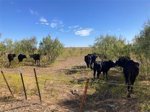 TBD Fm 2164, Sanger, TX 76266