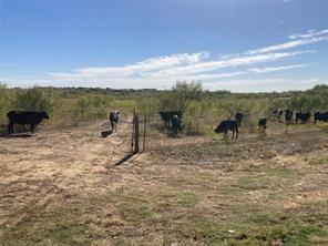 TBD Fm 2164, Sanger, TX 76266