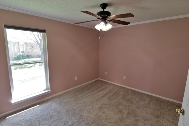 301 Whispering Meadows Dr, Hewitt, TX 76643 - unfurnished room featuring ornamental molding, carpet flooring, a ceiling fan, baseboards, and a textured ceiling