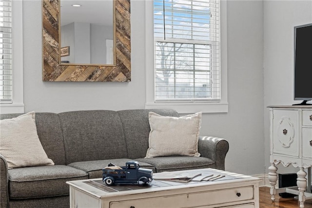 living room with wood finished floors