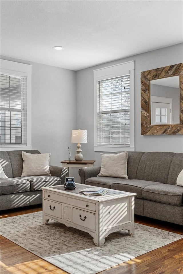 living area with wood finished floors