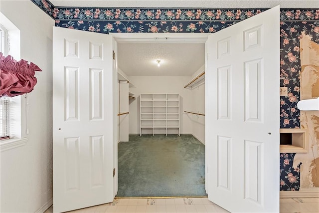 spacious closet featuring carpet floors