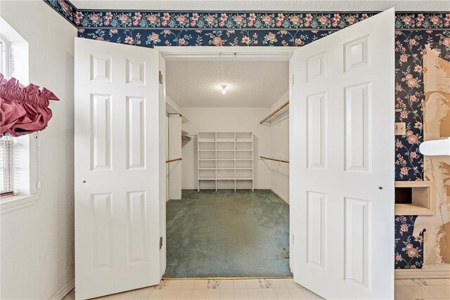 807 Birdie Ln, Lorena, TX 76655 - spacious closet featuring carpet floors