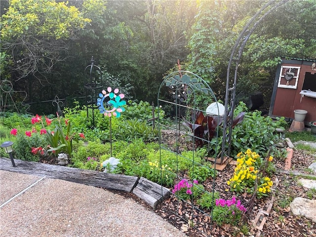 1016 Cardinal Dr, Woodway, TX 76712 - view of yard