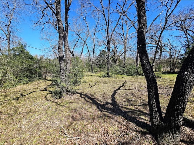 1596 Lcr 800, Groesbeck, TX 76642 - view of nature