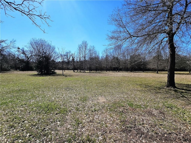 1596 Lcr 800, Groesbeck, TX 76642 - view of yard