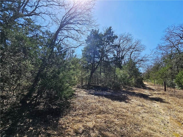 1596 Lcr 800, Groesbeck, TX 76642 - view of nature featuring a wooded view