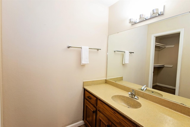 4020 River Oaks Cir, Temple, TX 76504 - bathroom with vanity, baseboards, and a spacious closet
