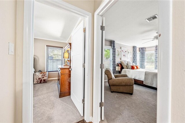 hallway with ornamental molding, carpet flooring, visible vents, and plenty of natural light