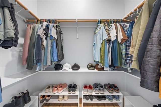 view of spacious closet