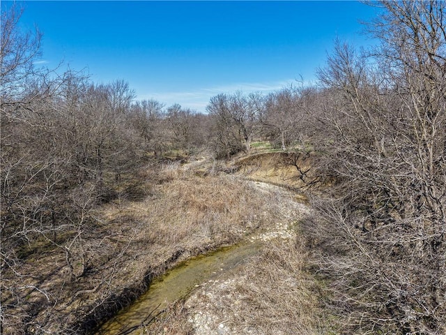 view of local wilderness