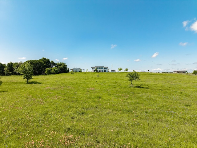 view of yard with a rural view