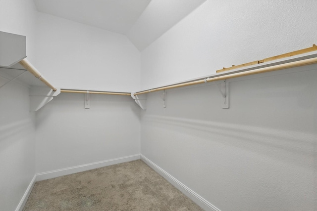 walk in closet featuring carpet