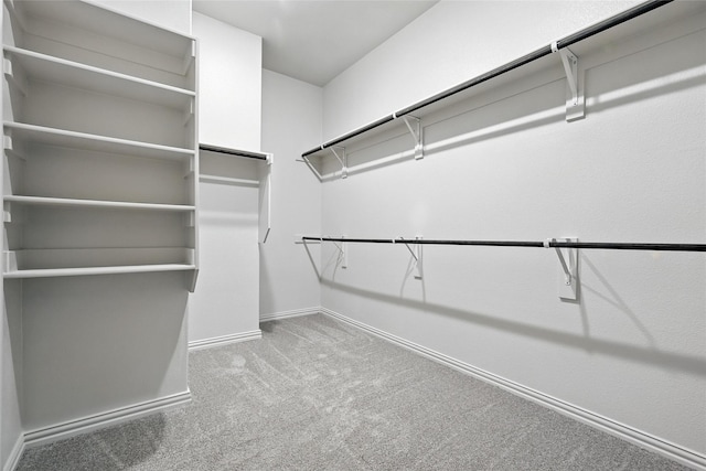 1436 Odette Dr, Arlington, TX 76013 - walk in closet featuring carpet floors