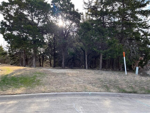236 Royal Vista Dr, Cedar Hill, TX 75104