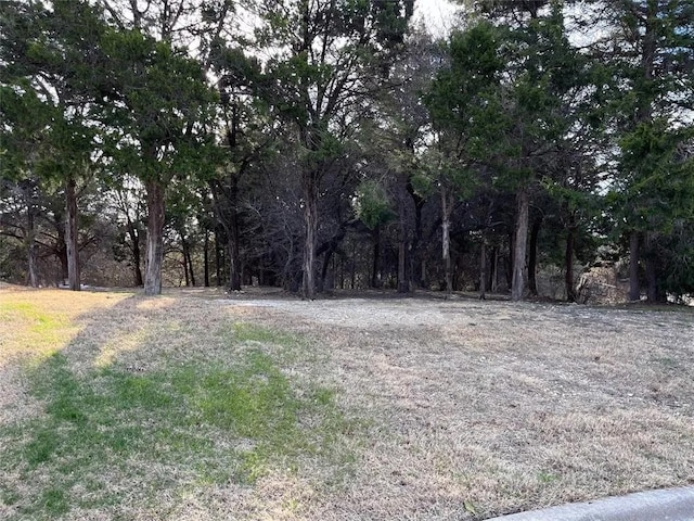 236 Royal Vista Dr, Cedar Hill, TX 75104
