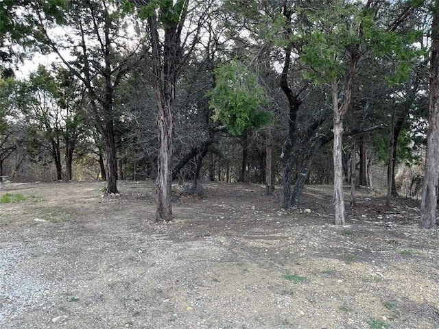 236 Royal Vista Dr, Cedar Hill, TX 75104