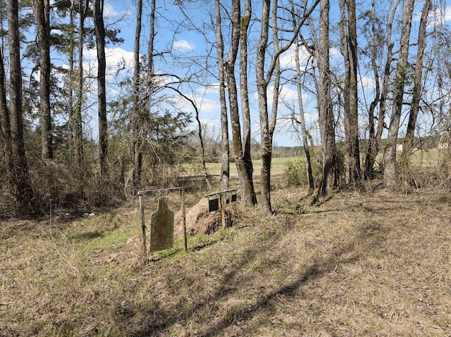 TBD County Road 2737, Naples, TX 75568