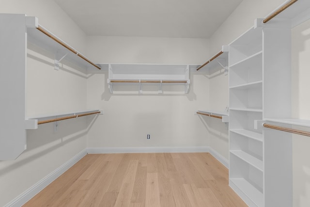 405 Red Roan Rdg, Brock, TX 76087 - walk in closet with light wood-type flooring