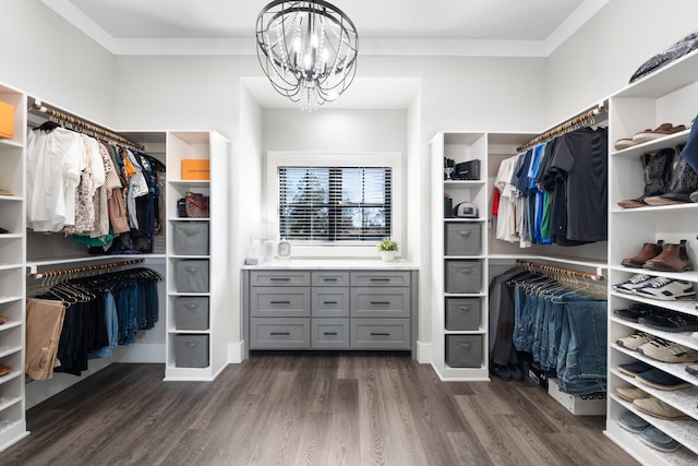 walk in closet featuring a notable chandelier and dark wood-style flooring