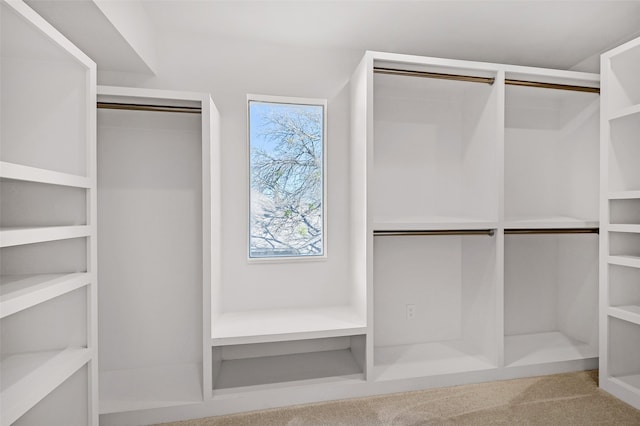 walk in closet with carpet flooring