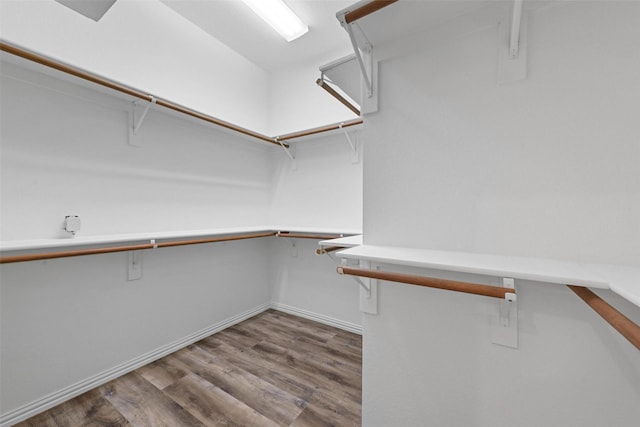 spacious closet featuring wood finished floors
