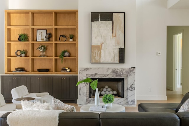 living area featuring wood finished floors, baseboards, and a premium fireplace