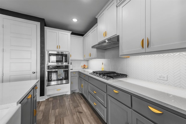 7436 Whisterwheel Way, Fort Worth, TX 76123 - kitchen with gray cabinetry, decorative backsplash, dark wood-type flooring, under cabinet range hood, and appliances with stainless steel finishes