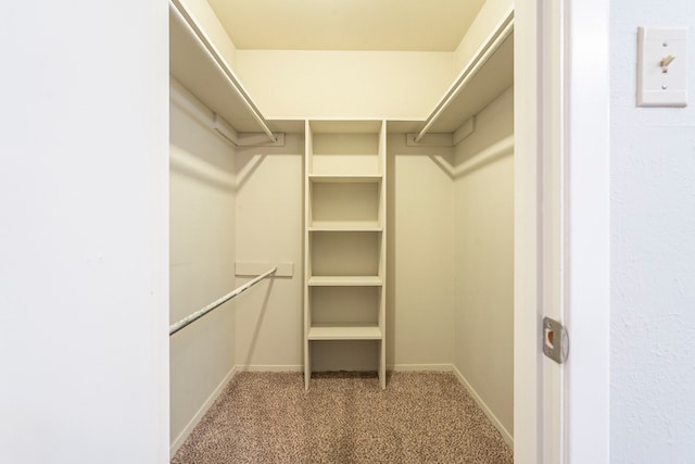 walk in closet with carpet flooring