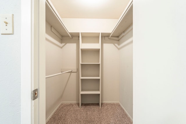 spacious closet featuring carpet flooring