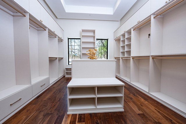 1230 Oak View Ct, Oak Point, TX 75068 - walk in closet featuring dark wood-type flooring and a raised ceiling