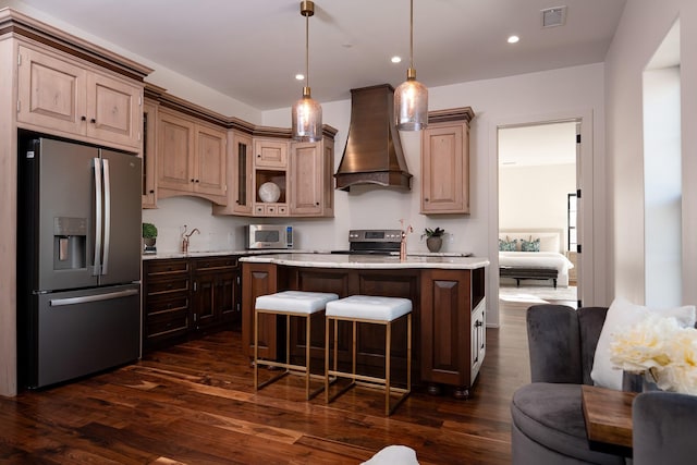 1230 Oak View Ct, Oak Point, TX 75068 - kitchen with appliances with stainless steel finishes, custom exhaust hood, dark wood-type flooring, a sink, and a kitchen island with sink