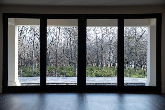1230 Oak View Ct, Oak Point, TX 75068 - doorway with healthy amount of natural light and wood finished floors