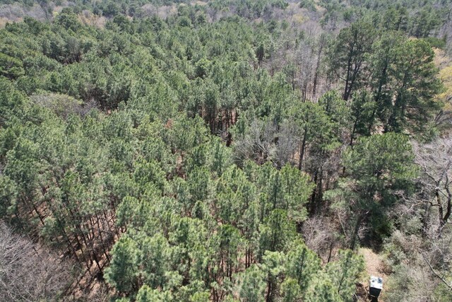 TBD Billy Ray Rd, Marshall, TX 75672