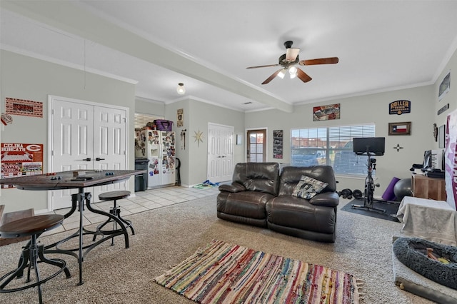 living area featuring crown molding, a ceiling fan, and carpet floors