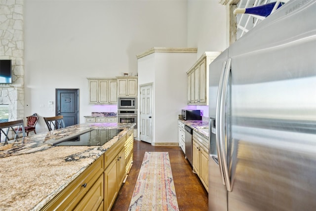 kitchen with light stone countertops, a high ceiling, a stone fireplace, appliances with stainless steel finishes, and cream cabinets