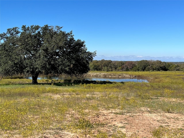 view of water feature with a view of trees