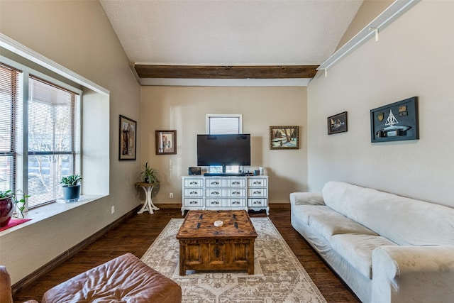 living room featuring lofted ceiling, baseboards, and wood finished floors