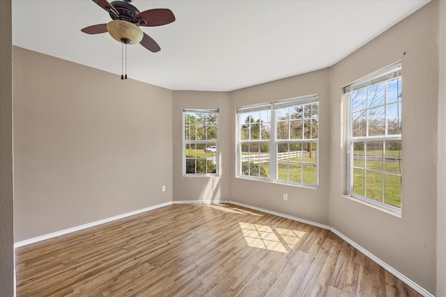 182 Kim St, Mount Vernon, TX 75457 - unfurnished room with baseboards, a healthy amount of sunlight, and wood finished floors