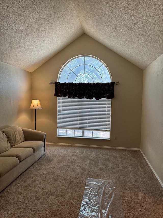 8208 Cloverglen Ln, Fort Worth, TX 76123 - living area with baseboards, carpet, lofted ceiling, and a textured ceiling