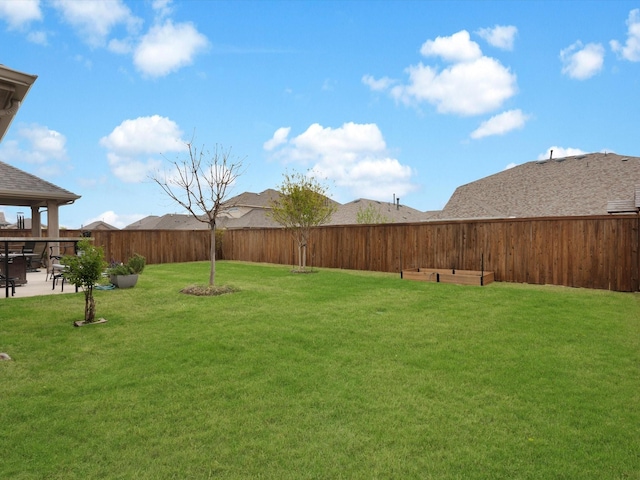view of yard featuring a fenced backyard and a patio